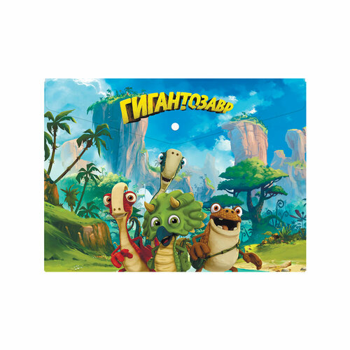 Папка-конверт 