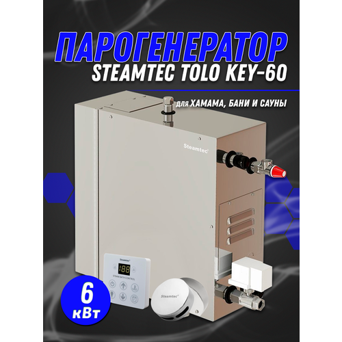 Парогенератор для хаммама и турецкой бани Steamtec TOLO-60-KEY, 6 кВт