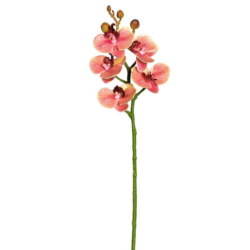 Цветок декоративный "Орхидея" #206680-340 Fiebiger Floristik 46 см