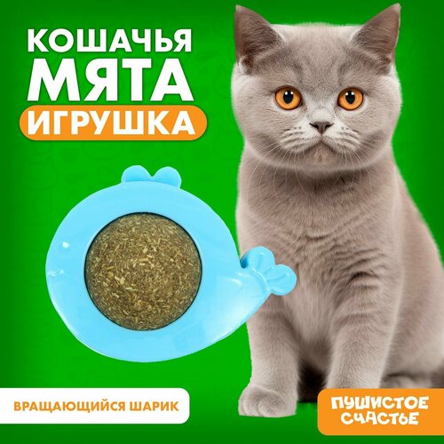 Игрушка для кошек «Кит» из кошачьей мяты