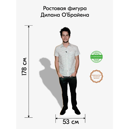 Дилан О'Брайен картонная ростовая фигура