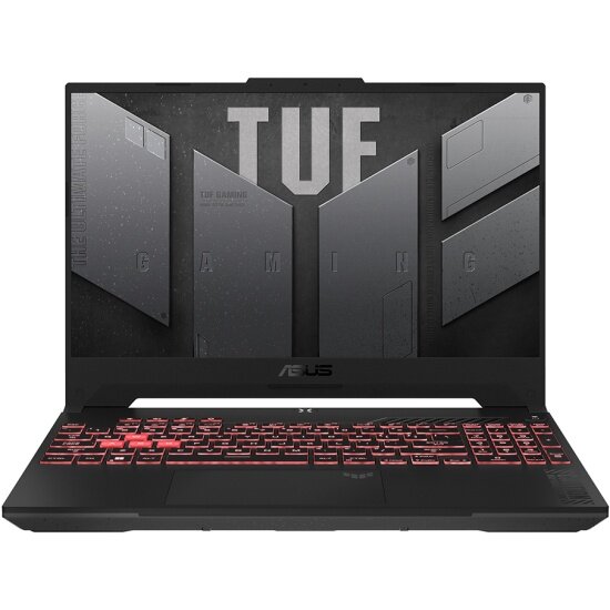 Игровой ноутбук Asus TUF Gaming F15 FX507VV-LP192 (90NR0BV7-M00EZ0)