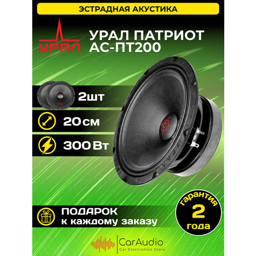 Колонки для автомобиля АС-ПТ200 Патриот 20см 7689₽