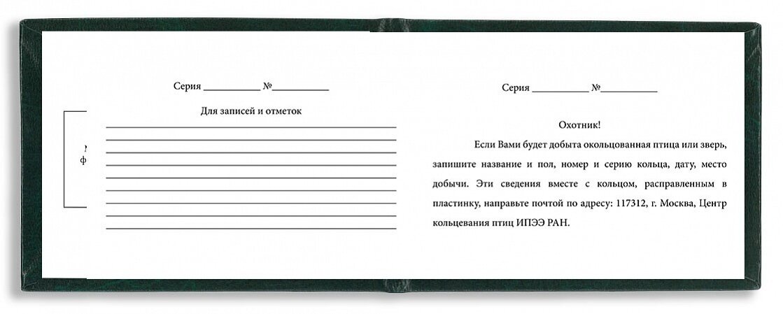 Бланк охотничьего билета — фото 1