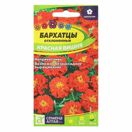 Семена цветов Бархатцы Красная Вишня, О, 0,2 г, 2 упак. семена цветов бархатцы красная вишня о 0 2 г 4 упак