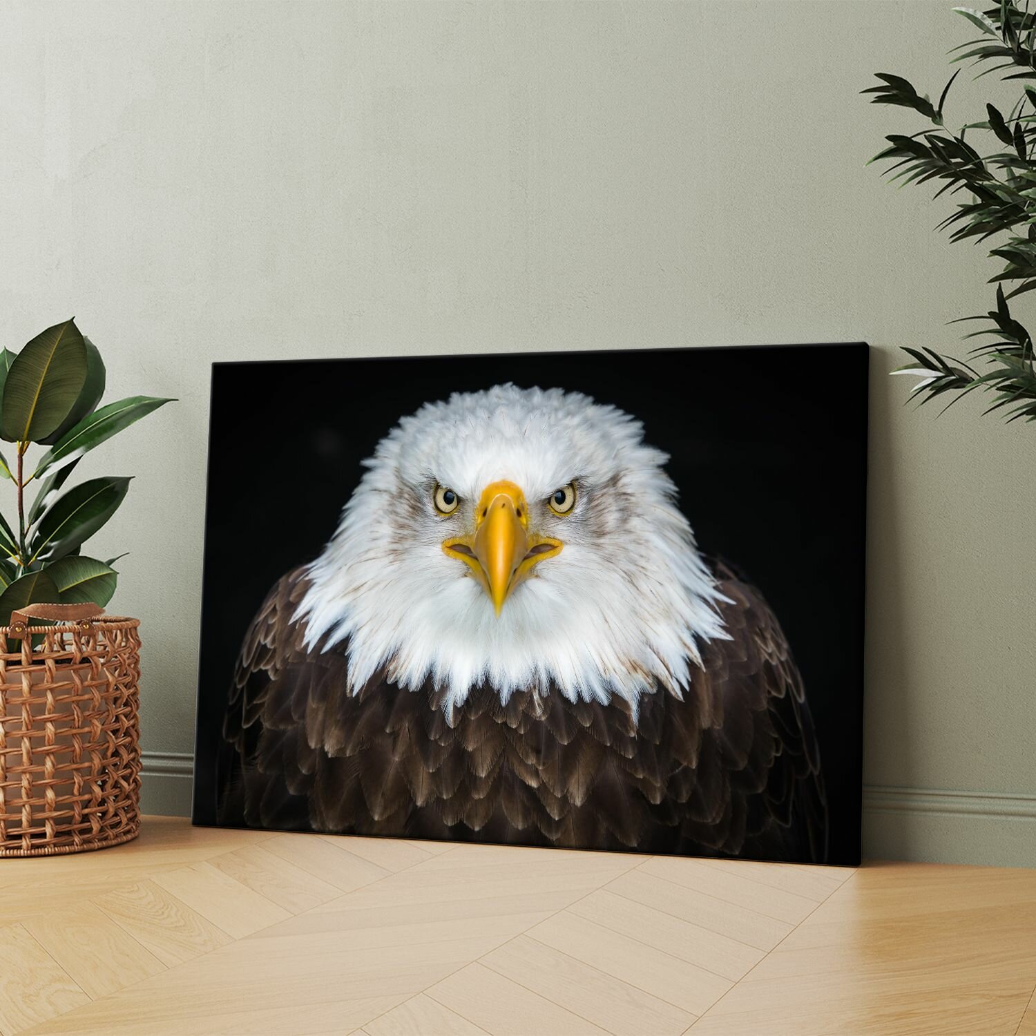 Картина на холсте (Белоголовый орлан) 20x30 см. Интерьерная, на стену.