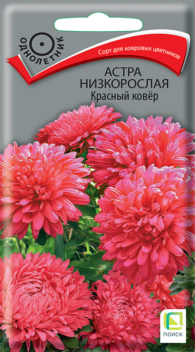 Комплект семян Астра низкорослая Желтый ковер однолет. х 3 шт.