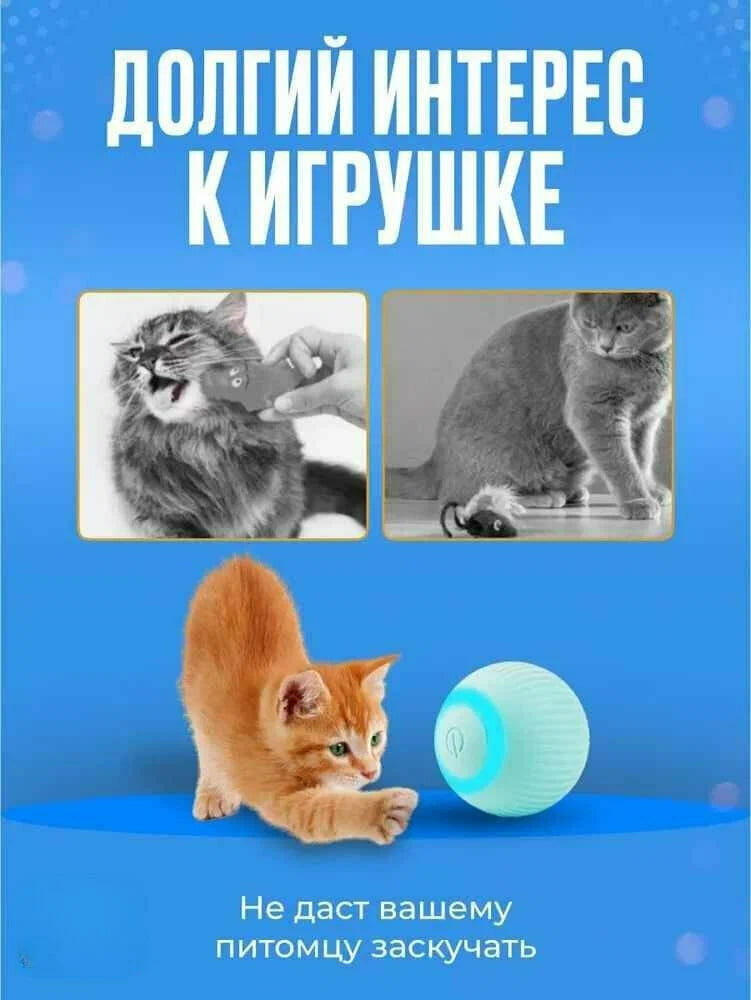 Интерактивный Мяч для Кошек и Собак / Автоматический Мяч - Игрушка от Contrast_Store — фото 1