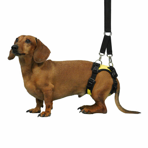 Задняя поддержка для маленьких собак