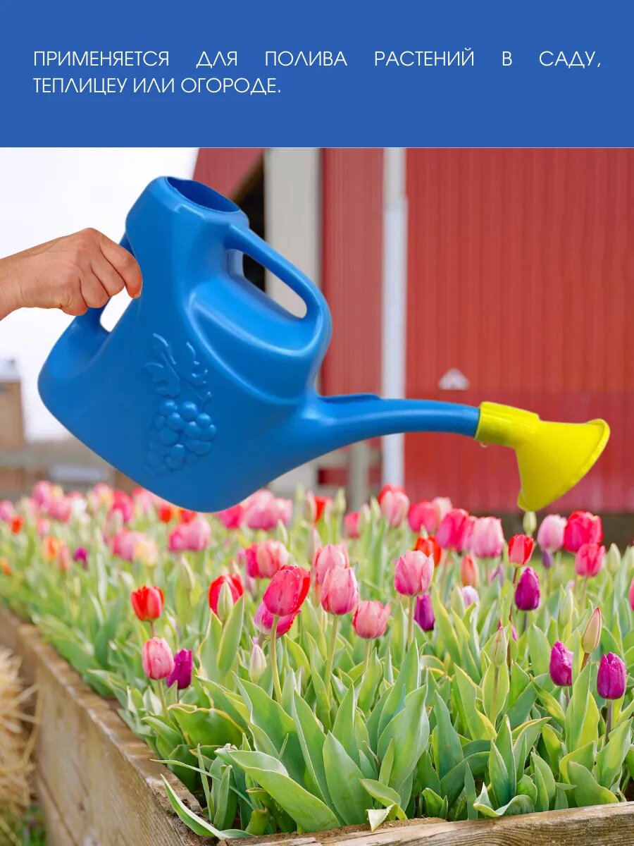 Лейка садовая Inbloom, с рассеивателем, 5л, морозоустойчивая, светло-синяя — фото 1