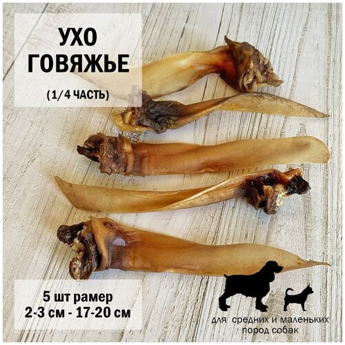 Ухо 1/4 говядина 5шт Dogs Appetite / лакомство для собак / лакомства для чистки зубов / лакомства для здоровья / Ухо говяжье для собак ухо 1 4 говядина 12 шт dogs appetite лакомство для собак лакомства для чистки зубов лакомства для здоровья ухо говяжье для собак