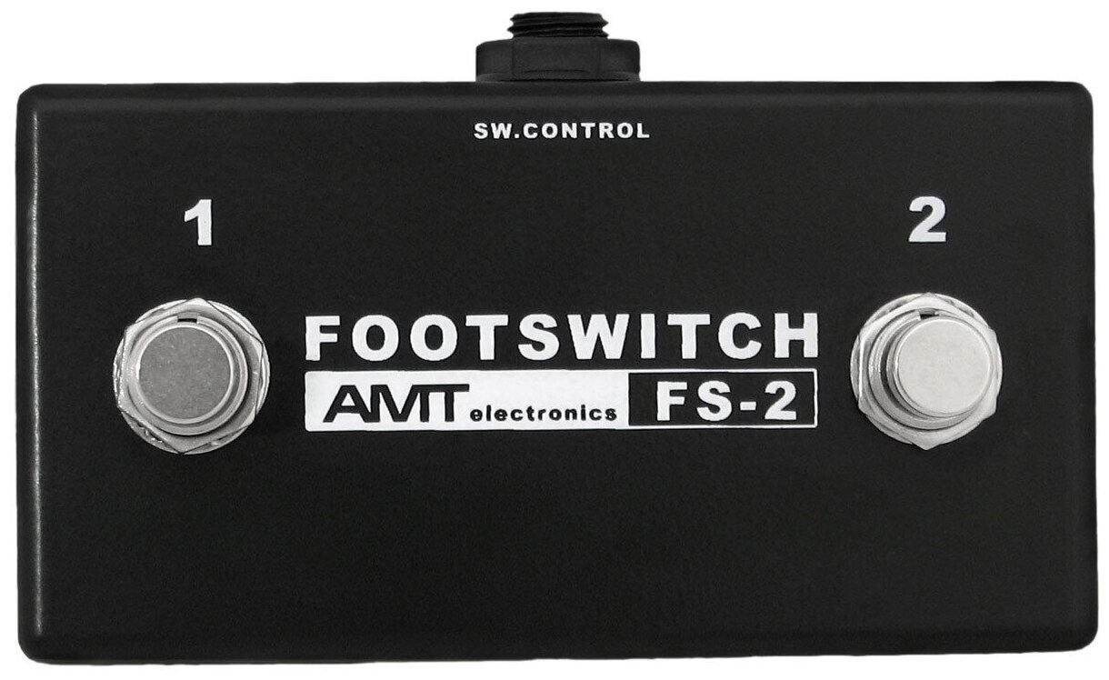 AMT electronics FS-2   -  