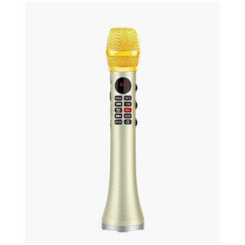 Профессиональный караоке-микрофон L-699 DSP 20W золотой