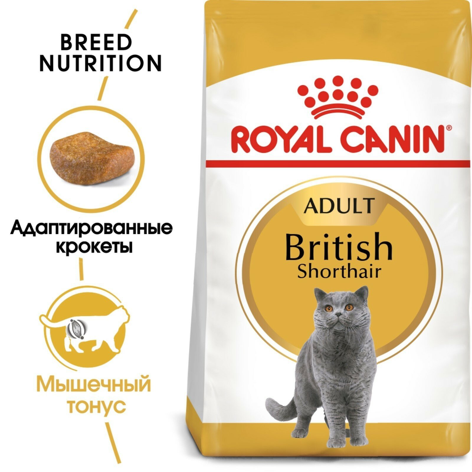 Сухой корм royal canin для кошек породы британская короткошерстная feline breed nutrition british shorthair 34 400г - фотография № 6