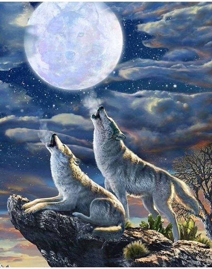 Алмазная мозаика на подрамнике 40х50 Волки Северное сияние