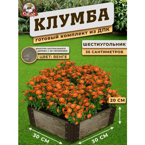 Клумба дпк высокая