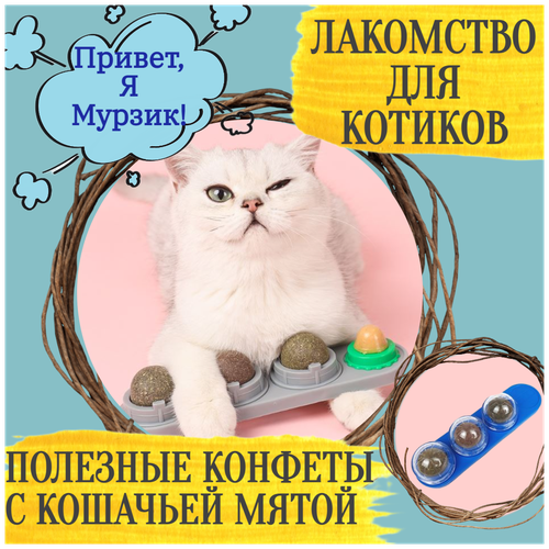 Лакомство для кошек / леденец / конфета / кошачья мята / мататаби / для котов / на липучке / эко лакомство