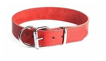 Ошейник кожаный для собак GRIPALLE Дакс , натуральная кожа, стальная фурнитура, размер: ширина 25 мм, длина 35 см, цвет красный, - фотография № 5