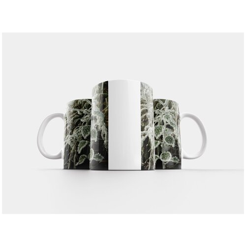 фото Кружка "зима, мороз, замороженный" 320 мл lotsprints