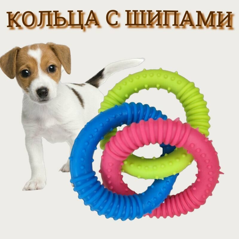 Игрушка для собак. Кольца с шипами.