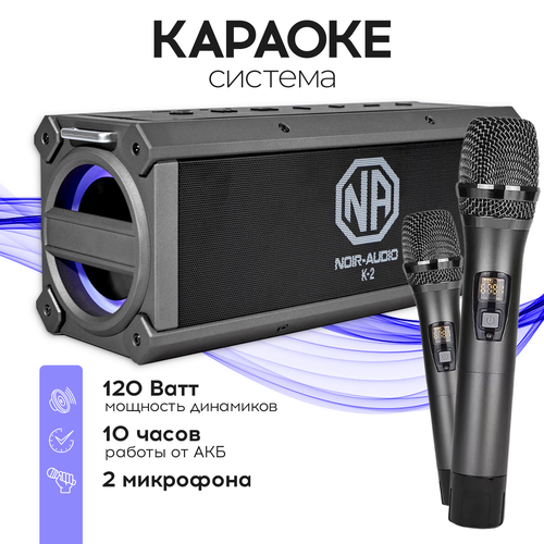 Караоке-система Noir-audio K-2 с двумя микрофонами и функцией Bluetooth караоке с акустикой и микрофонами skydisco karaoke home set music pro 2 приставка с баллами микрофоны колонки 2 0 диск 2000 песен