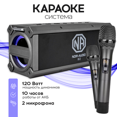 Купить Караоке-система Noir-audio K-2 с двумя микрофонами и функцией ...