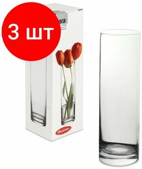 Комплект 3 шт, Ваза "Flora", колба, высота 26.5 см, стекло, PASABAHCE, 43767