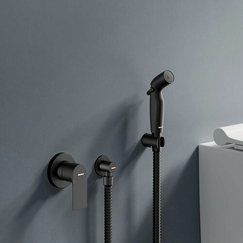 Изображение товара Гигиенический душ "Damixa Apollo", латунь, встраиваемый смеситель, черный