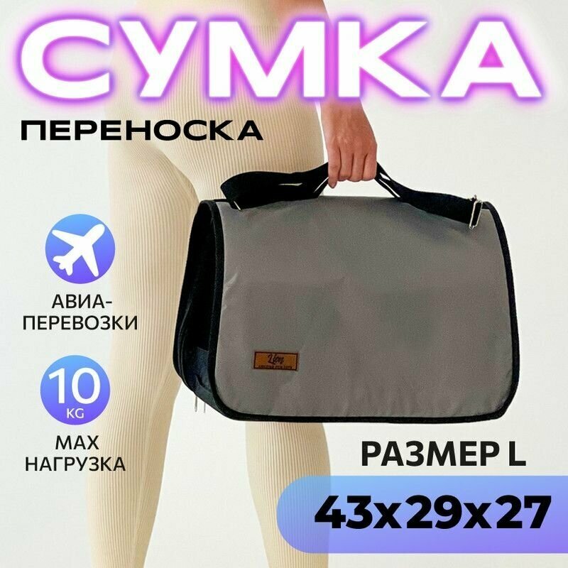 Lion Сумка-переноска для животных "Econom" LM6503 (43 х 29 х 27 см.) - фото №1