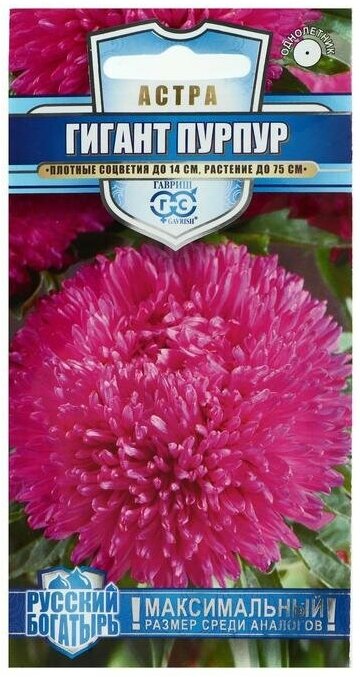 Семена цветов Астра "Гигант", пурпурная, однолетняя, серия Русский богатырь, 0,05 г