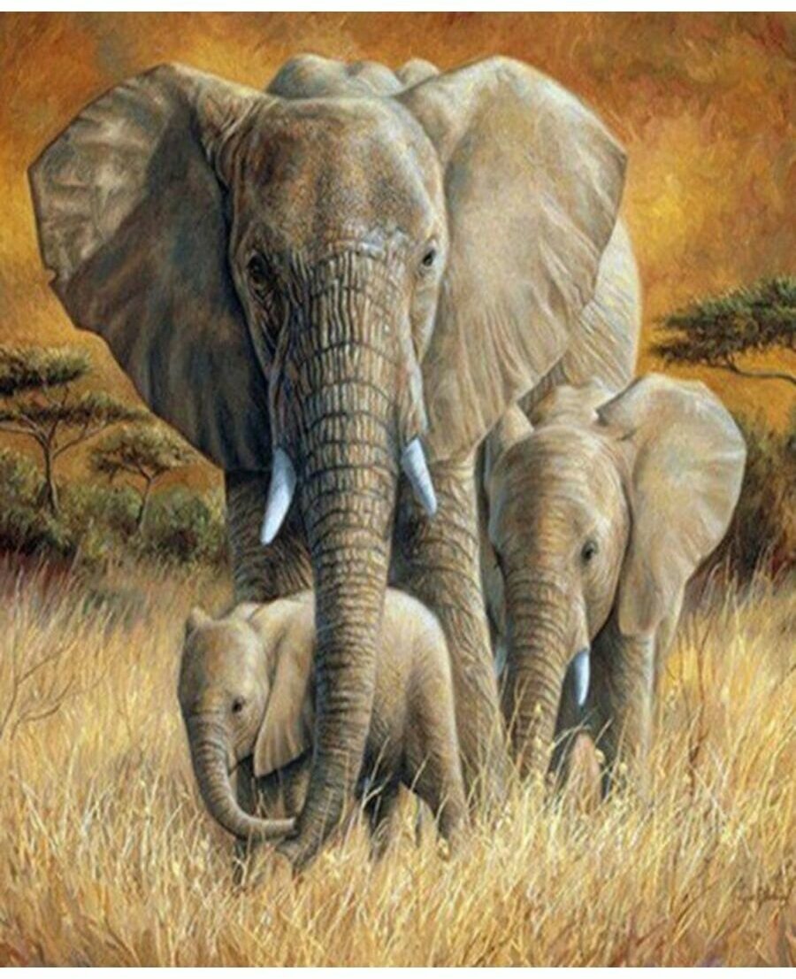 Картина по номерам Семья слонов 40х50 см АртТойс