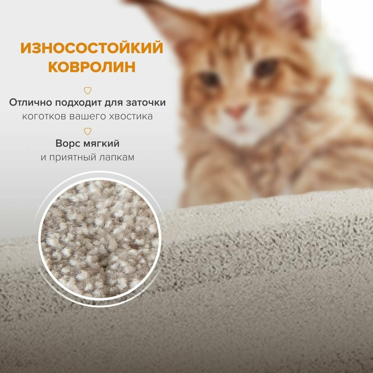 Комплекс для кошек с домиком и лежанкой для кошки когтеточка "Мейн Кун Чик" серый - фотография № 4