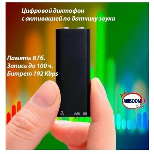 Диктофон Мини с активацией записи по датчику звука 8 ГБ 159900₽