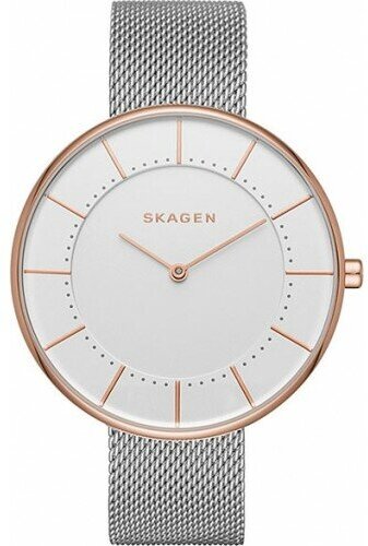 Наручные часы SKAGEN Mesh SKW2583