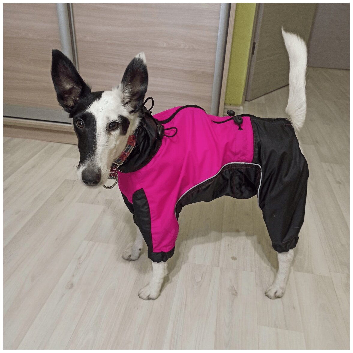 Комбинезон для собаки демисезонный розово-черный White Wolf (вырез на девочку) размер M - фотография № 6
