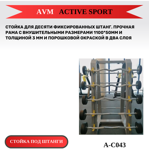 Стойка для десяти фиксированных штанг AVM A-C043