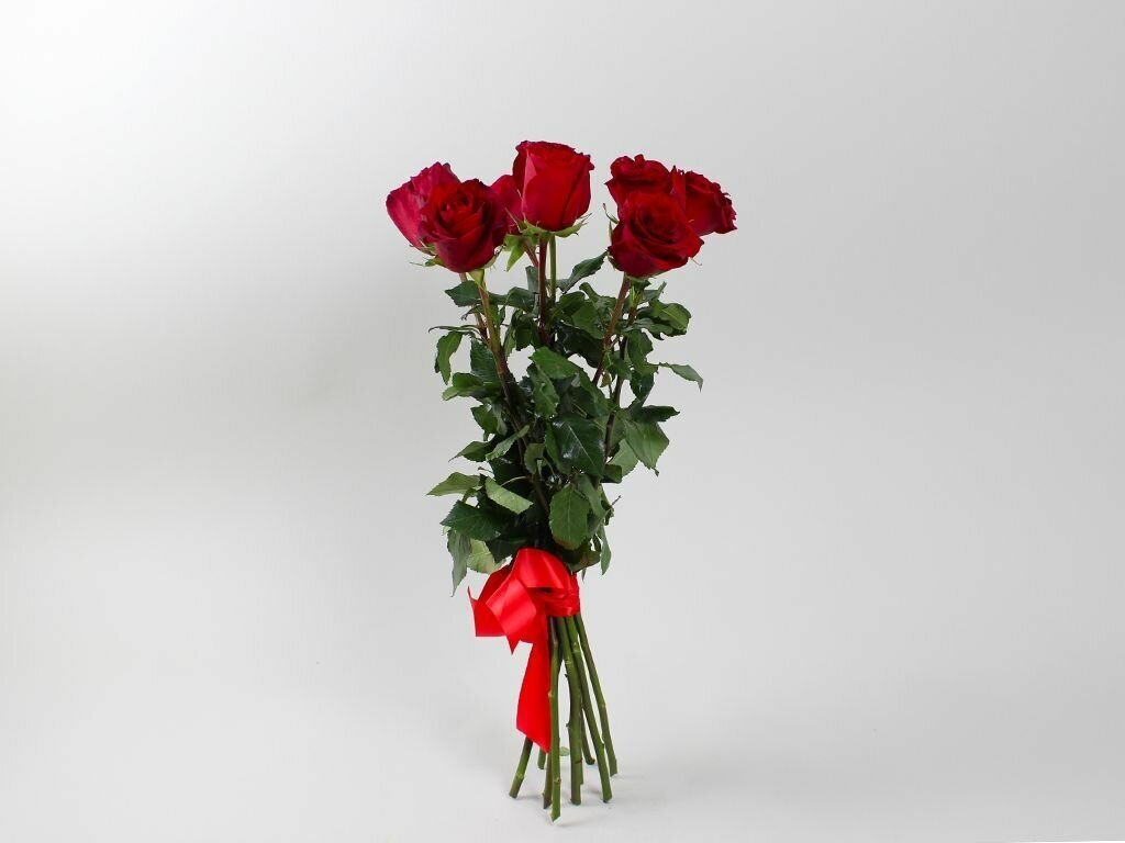 Букет 9 красных роз Эквадор 60 см. Эксплорер