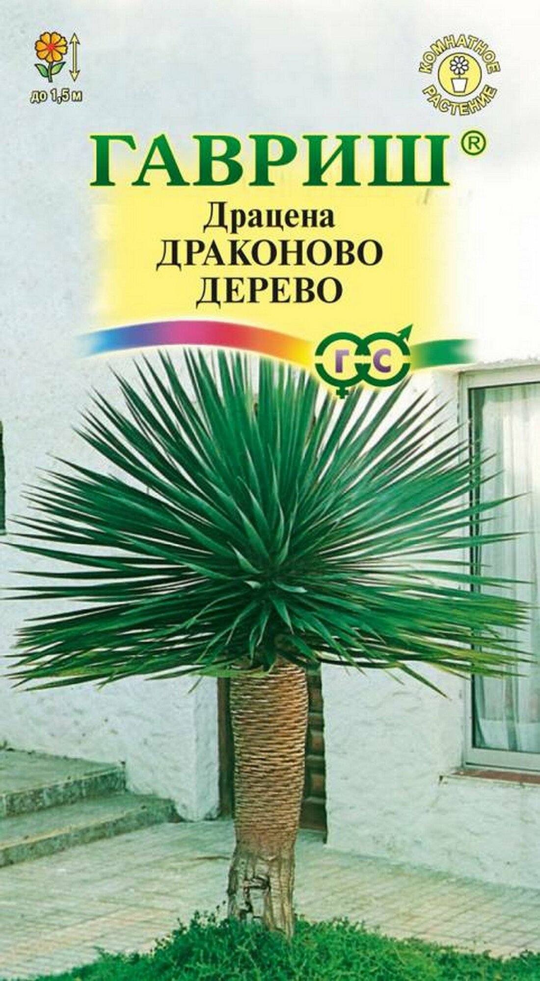 Семена Драцена Драконово дерево 3 штуки семян Гавриш