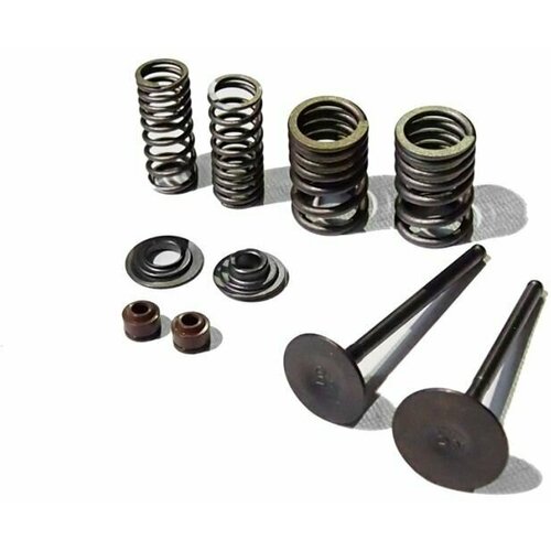 Ремкомплект головки двигателя ZS190E (Zongshen)