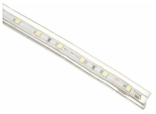 Светодиодная лента Ecola, 220 В, SMD2835, 20 м, IP68, 4Вт/м, 60 LED/м, 6000К