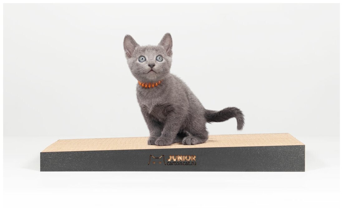 Когтеточка для котят Carton Cat Junior Slope black, цвет: черный, 40 х 20 х 4 см