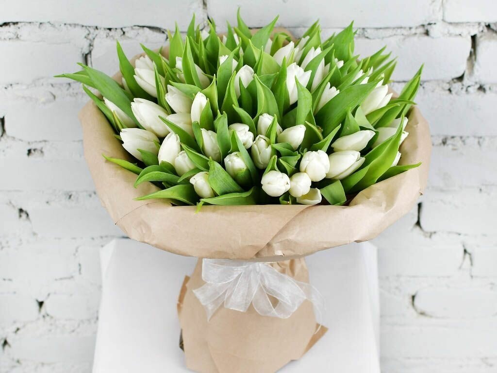 Букет 49 белых тюльпанов в упаковке