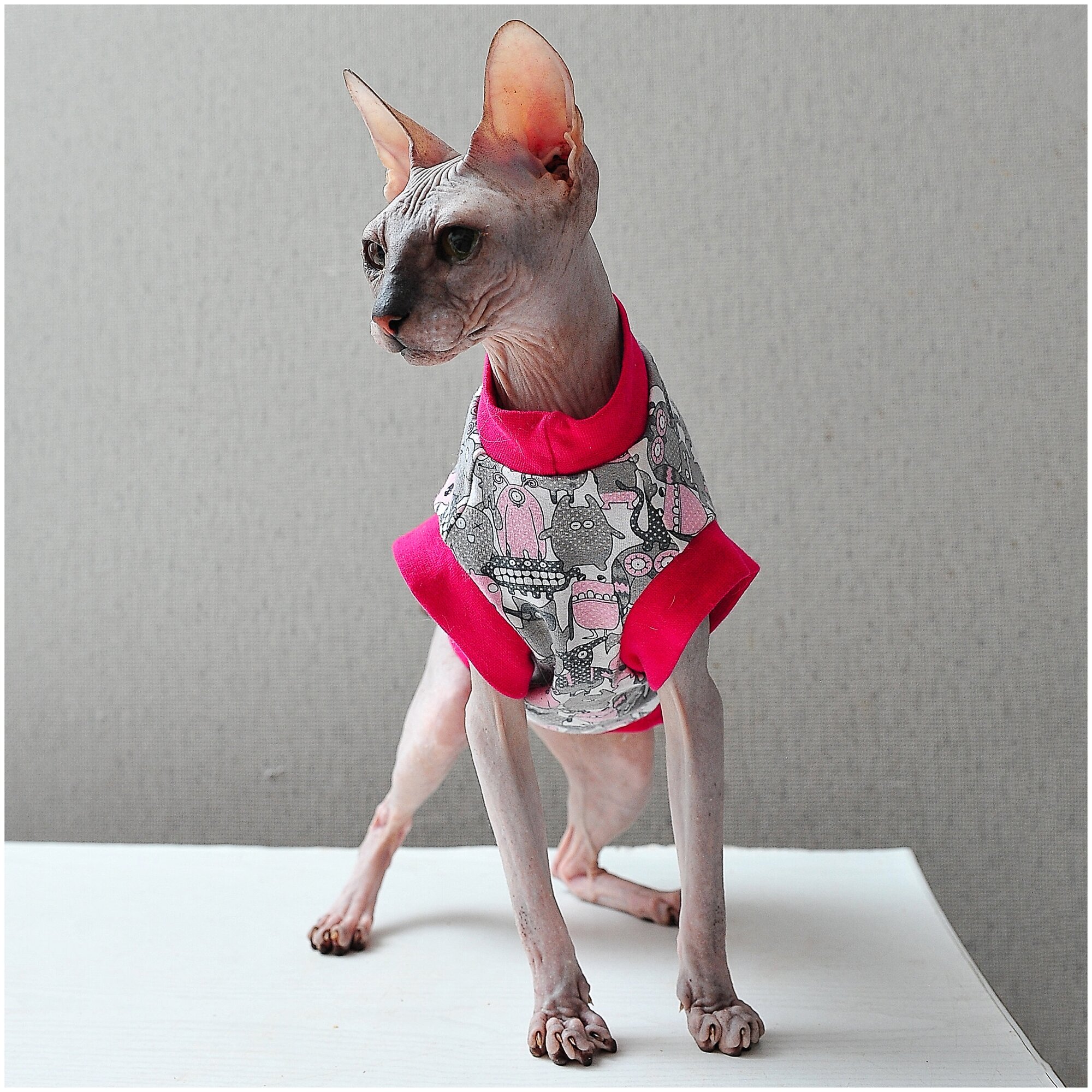 Одежда для кошек, котов и маленьких собачек - стильная майка с рисунком Весёлые монстры, подходит для сфинксов - фотография № 1