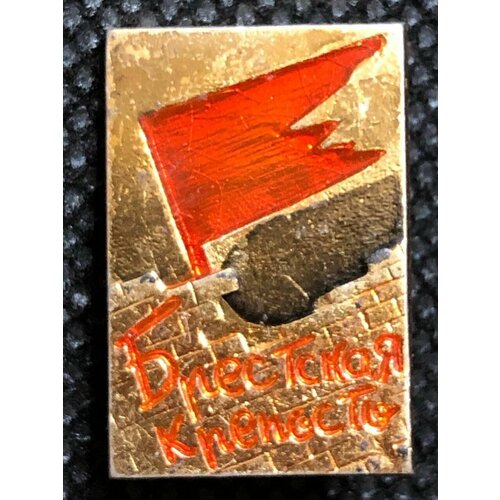 Значок СССР города. Брестская крепость #6 значок ссср города суздаль гостиница стц 6