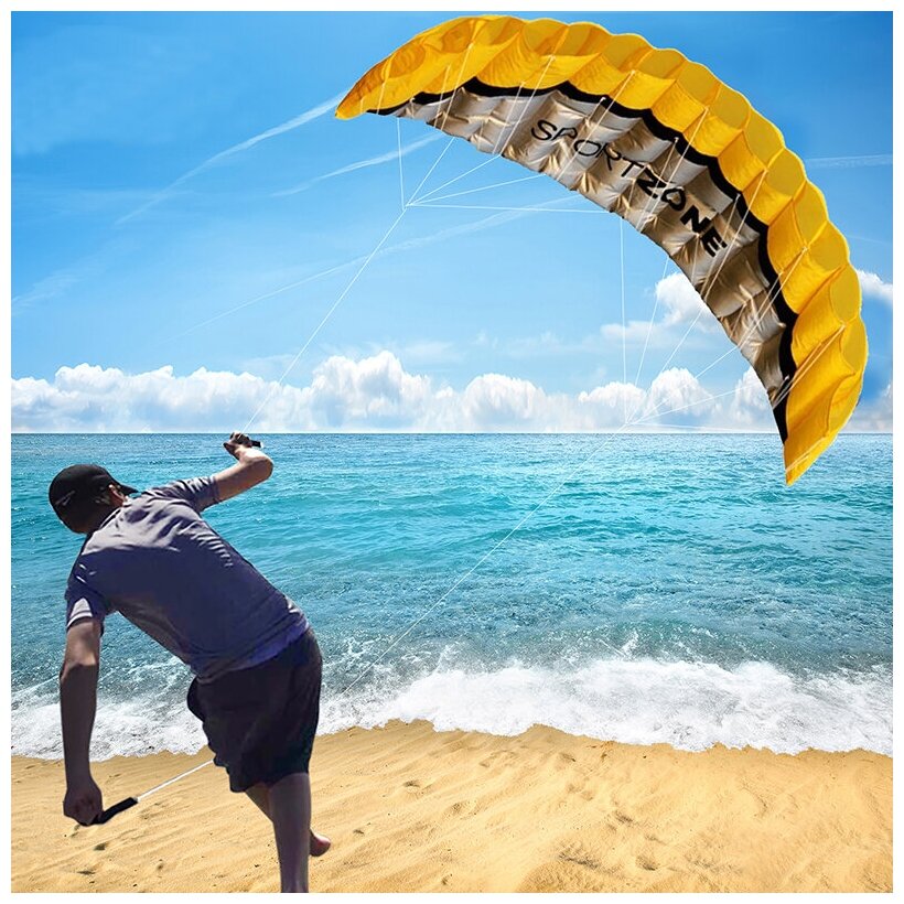 Высококачественный парашютный спортивный пляжный воздушный змей 2,5 м с двойной линией.