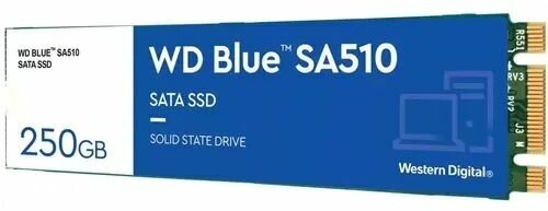 Внутренний SSD диск Blue SA510 M.2, 550/525MB/s, IOPs 95000/81000, TBW 100 10 (884691)