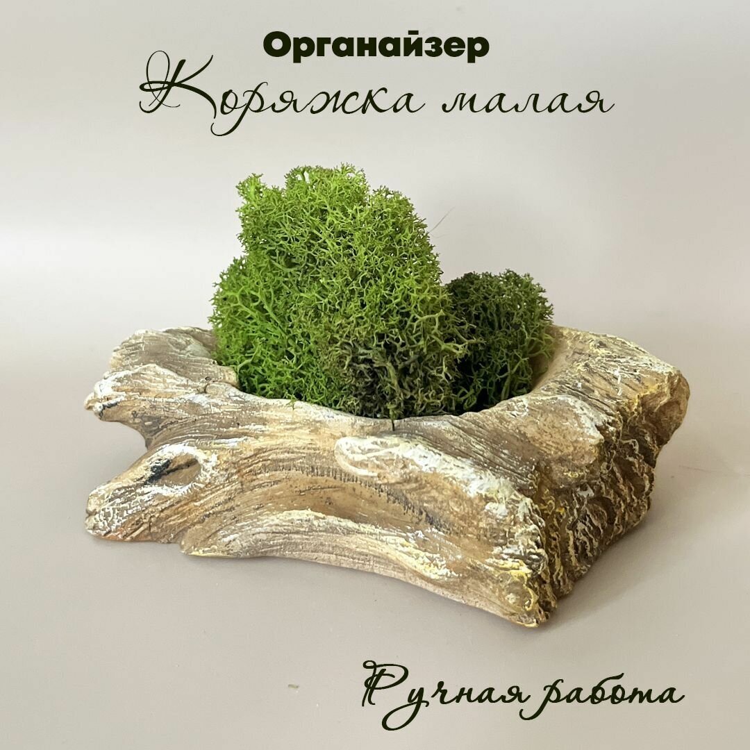 Декор для интерьера, органайзер кашпо для мха "Коряжка малая", Artsmade