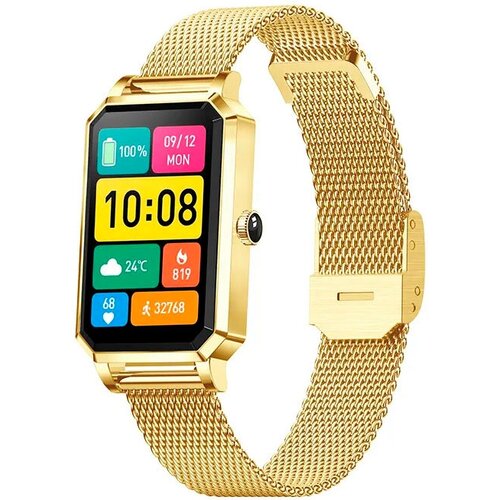 CheckME Smart Умные часы CheckME Smart CMSNX2GG 811200₽