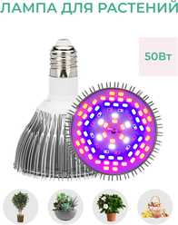 Фитолампа (лампа для растений) Fitolamp FL-50 Full Spectre, 50 Вт., полный спектр, E27