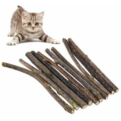15 деревянных палочек мататаби с мятой для чистки зубов у кошек (игрушка, мятная жевательная палочка, зубочистка). 50 шт одноразовые палочки для чистки зубов